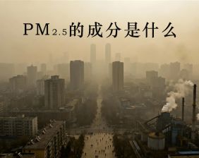 PM2.5的成分是什么？